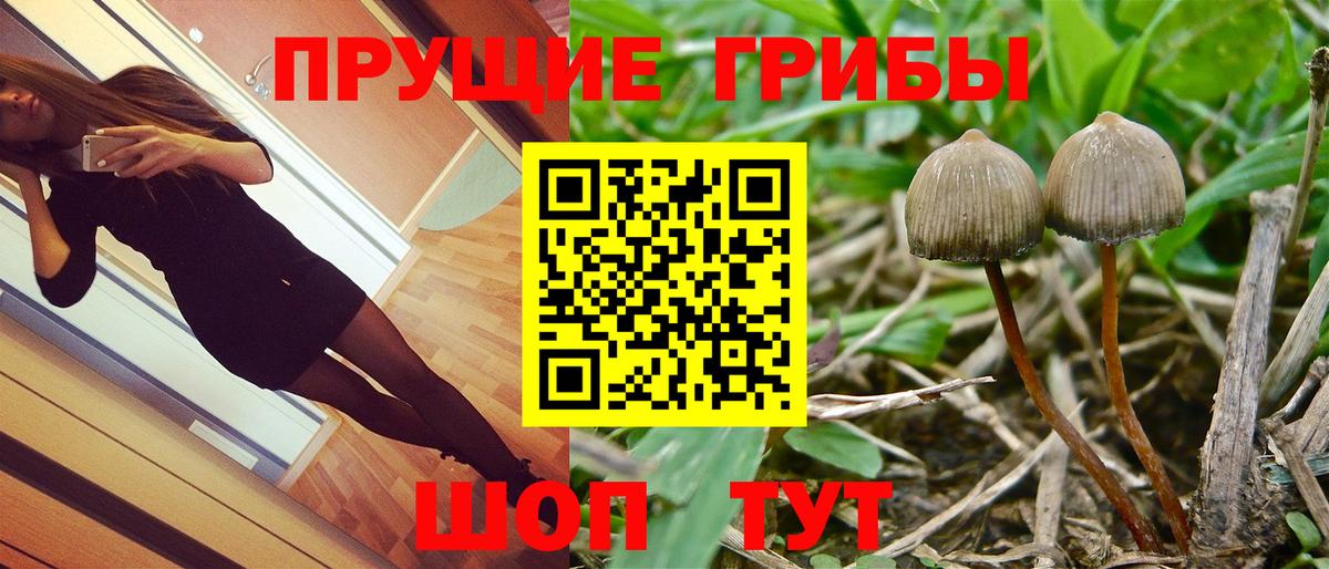 Галлюциногенные грибы Cubensis Балашиха
