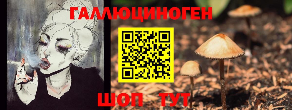 Галлюциногенные грибы Cubensis  Вход с VPN  Балашиха 
