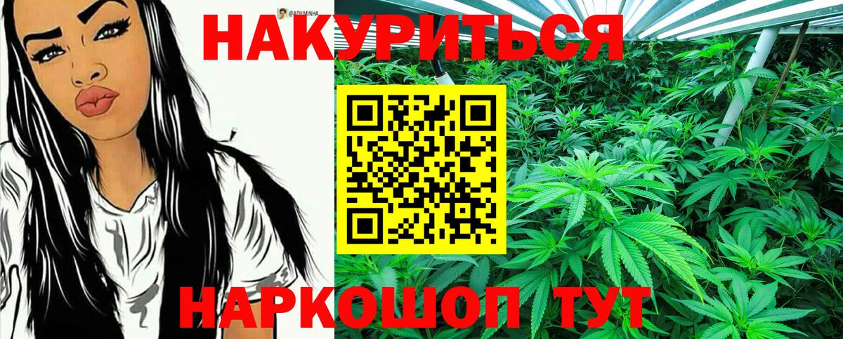 Бошки марихуана тримм  Канабис индика  Вход с VPN  Балашиха  Канабис White Widow  Конопля сатива 